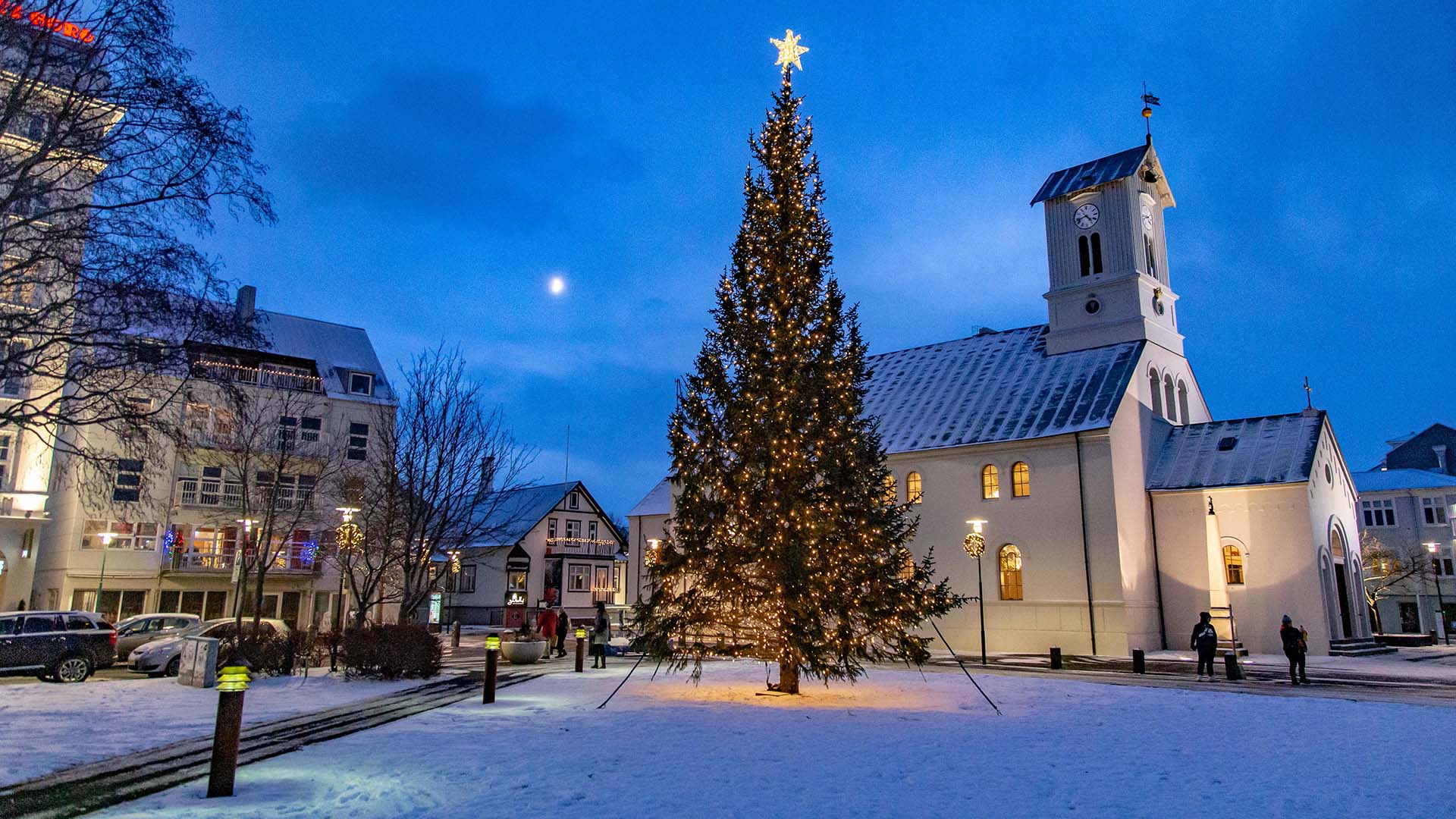 Christmas tree in Austurvöllur, downtown Reykjavik ©nordicvisitor