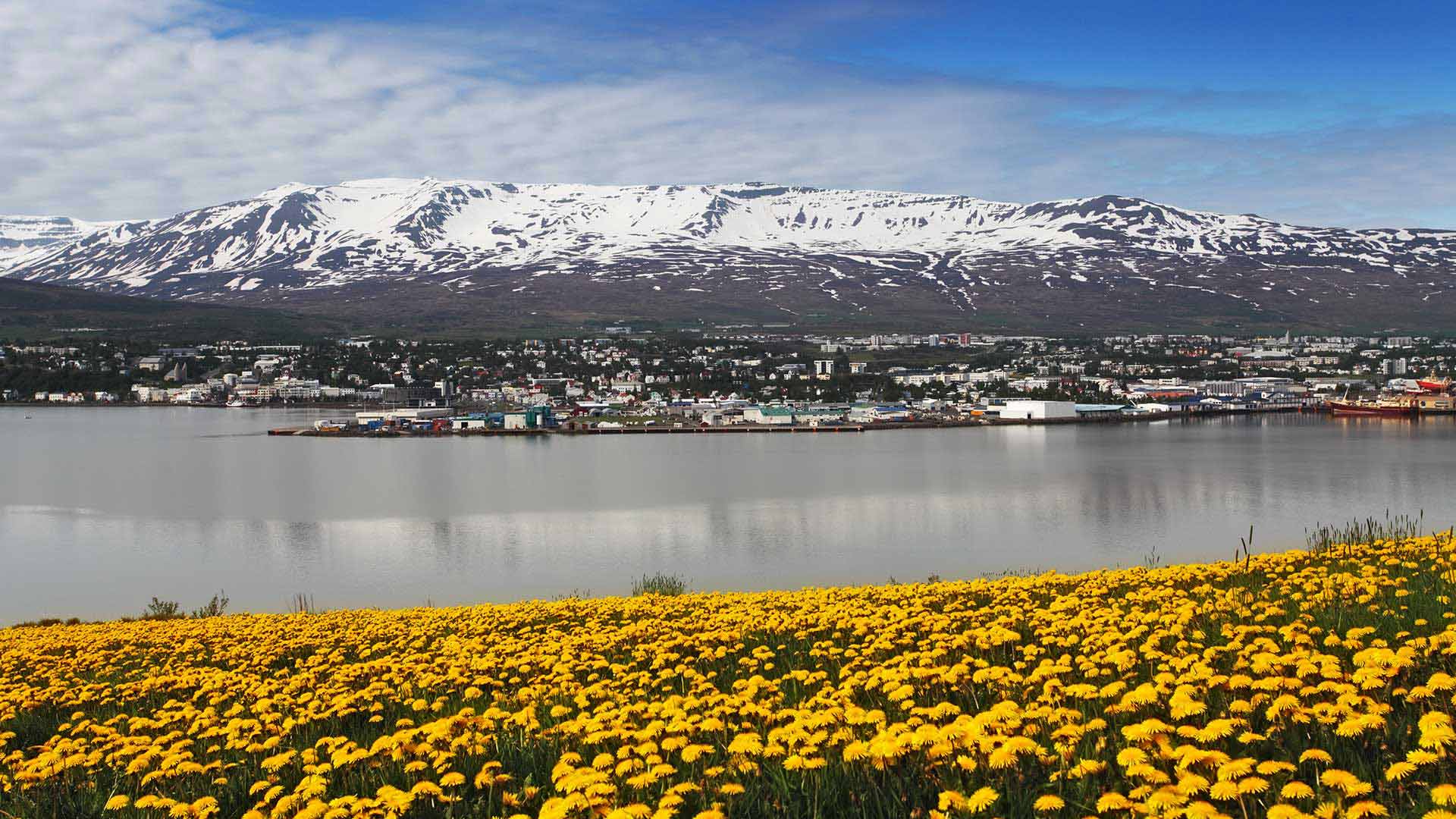 Akureyri in North Iceland