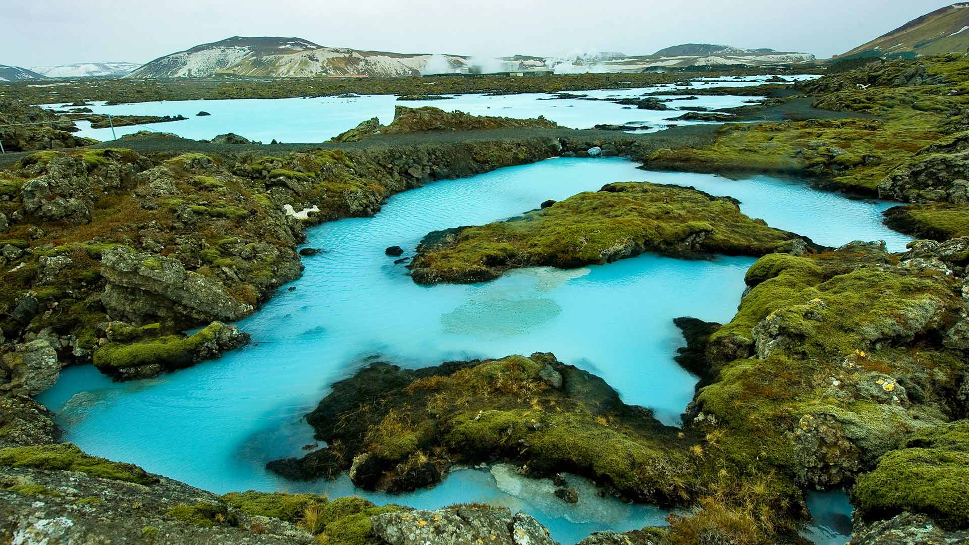 Blue Lagoon Iceland (3) 