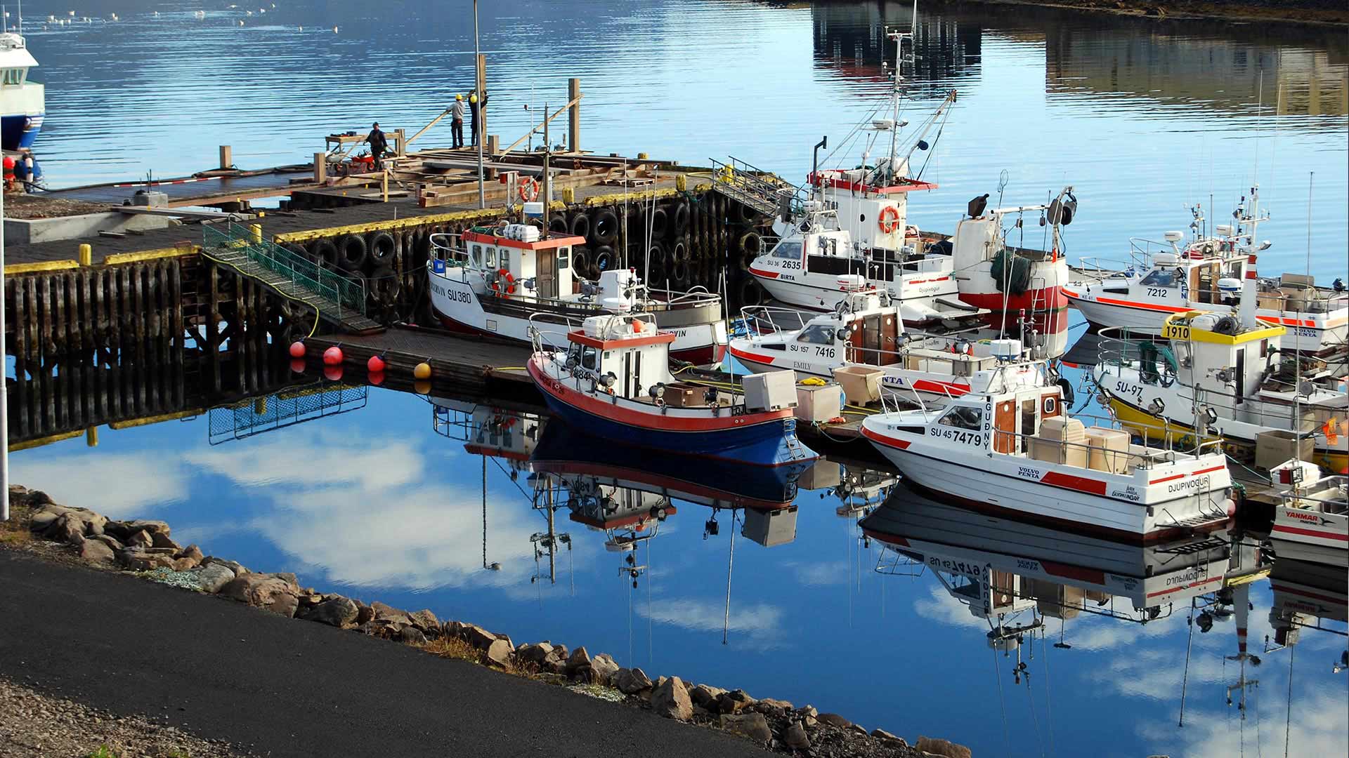 Boats in Djúpivogur - Iceland