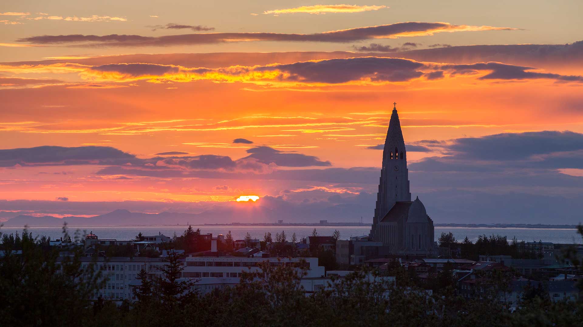 midnight sun tours reykjavik