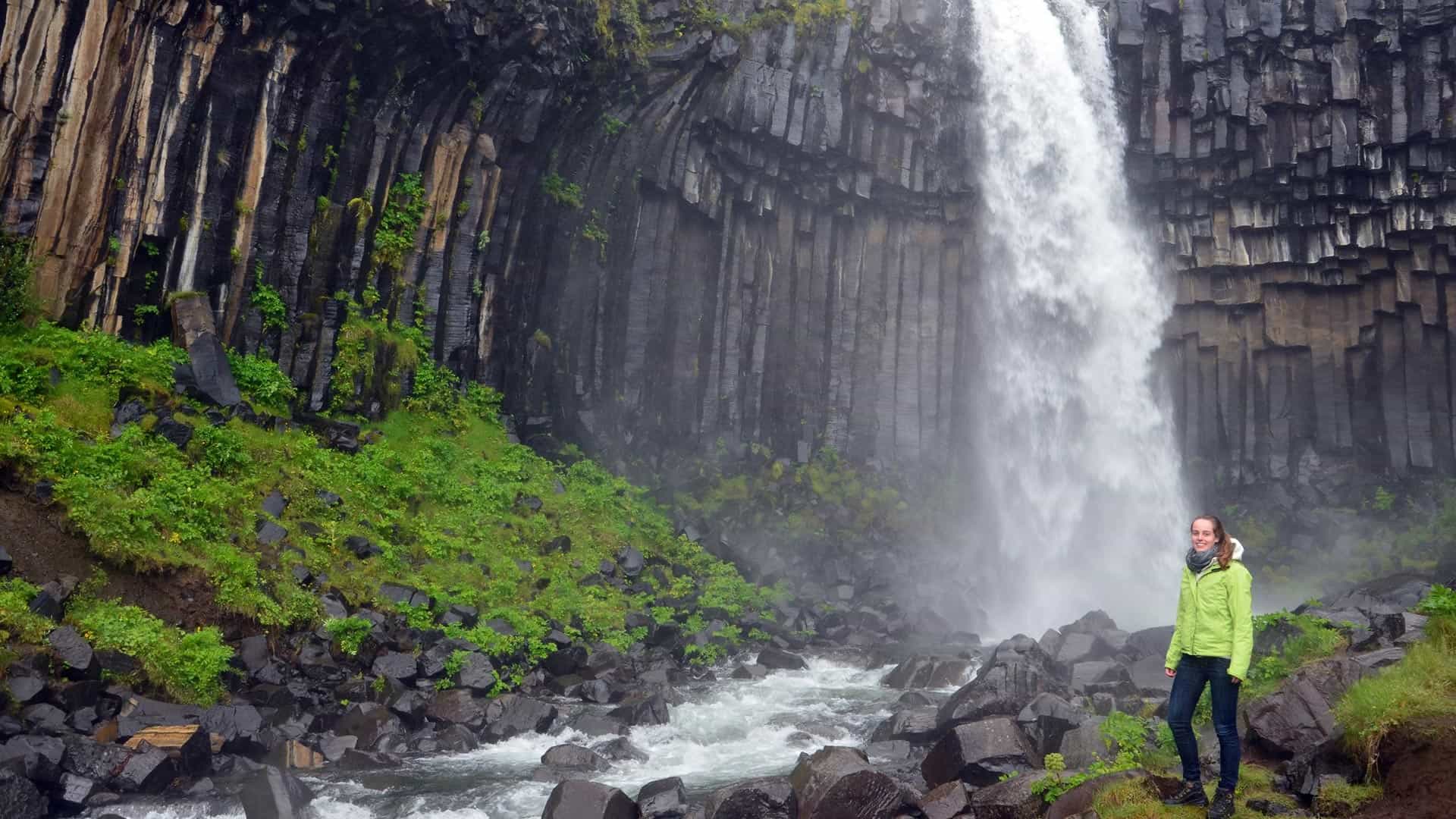 Svartifoss Waterfall in South Iceland