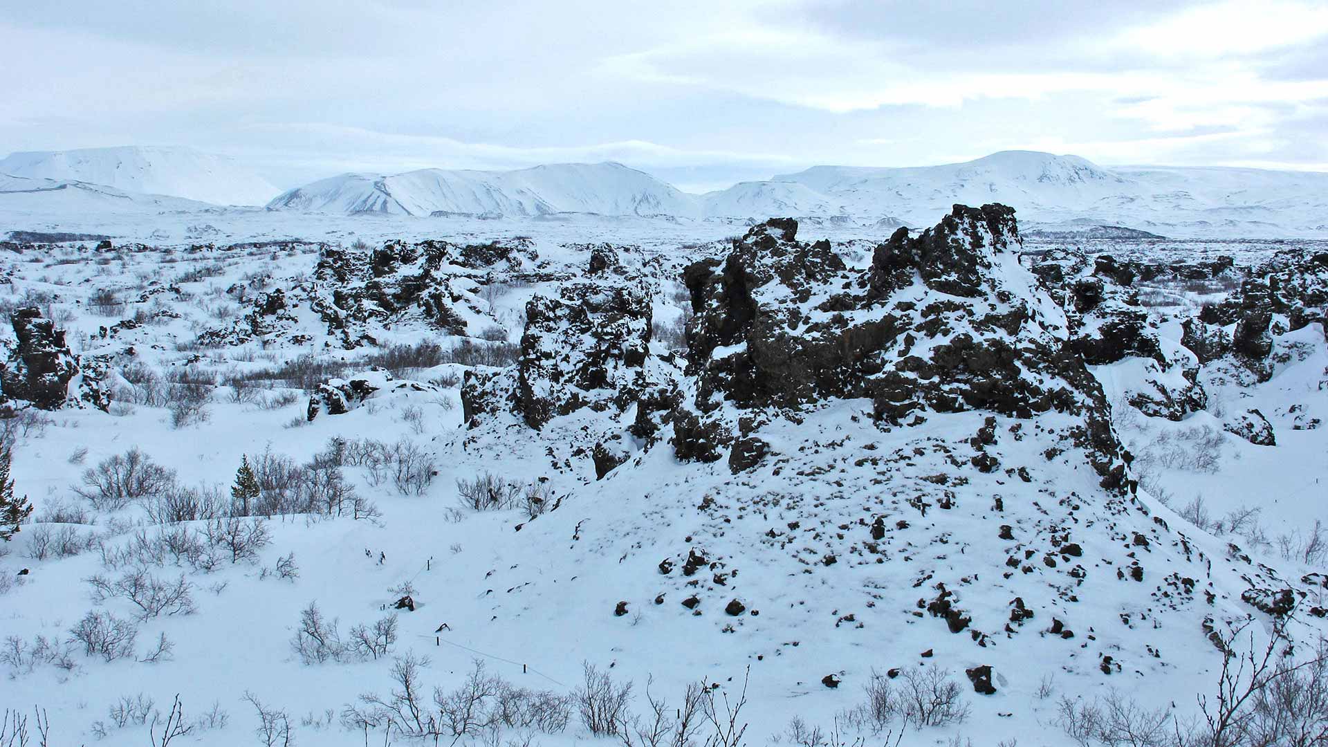 Dimmuborgir in North Iceland